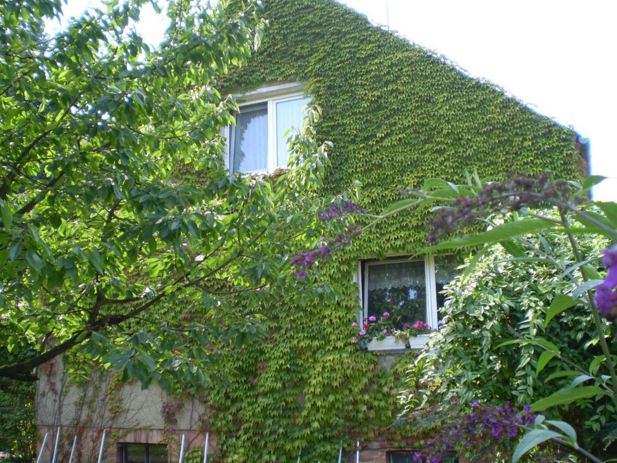 Ferienwohnung Wolf Nietwerder Exterior foto